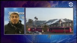 «Олимпийский дозор»: первые победы, первые скандалы