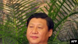 政治局常委习近平