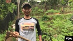 Ujang adalah salah satu petani yang dibina oleh Odesa Indonesia dalam menerapkan wanatani. Dia mengatakan sebelumnya tidak mengetahui pentingnya keberagaman tanaman. (Foto: VOA/Rio Tuasikal)