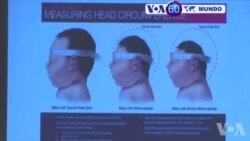 Manchetes Mundo 24 Fevereiro 2016