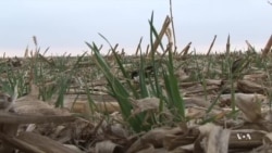 Kansas Farmers Work to Prevent Depletion of Ogallala Aquifer