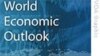 IMF：保持世界经济复苏需要政府继续支持