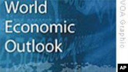 IMF：保持世界经济复苏需要政府继续支持