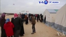 Manchetes Mundo 8 Fevereiro 2016