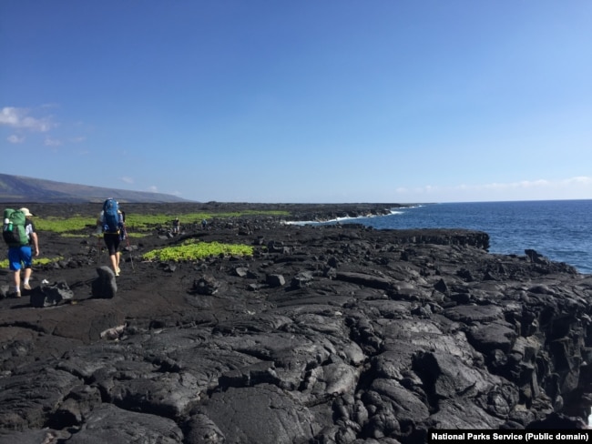 Hikers walking along lava on the Puna Coast Trail