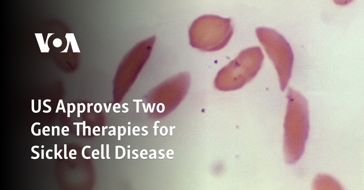 US Approves Two Gene Therapies for Sickle Cell Disease