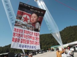 지난 2013년 10월 한국 경기도 파주시 통일동산에서 자유북한운동연합 회원과 실향민들이 북한정권을 규탄하고 이산가족 상봉을 촉구하는 대북전단을 살포하고 있다.