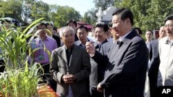 In this photo released by Xinhua News Agency, Chinese Vice President Xi Jinping, front right, attends an activity to mark this year's National Science Popularization Day at China Agricultural University in Beijing, September 15, 2012. 