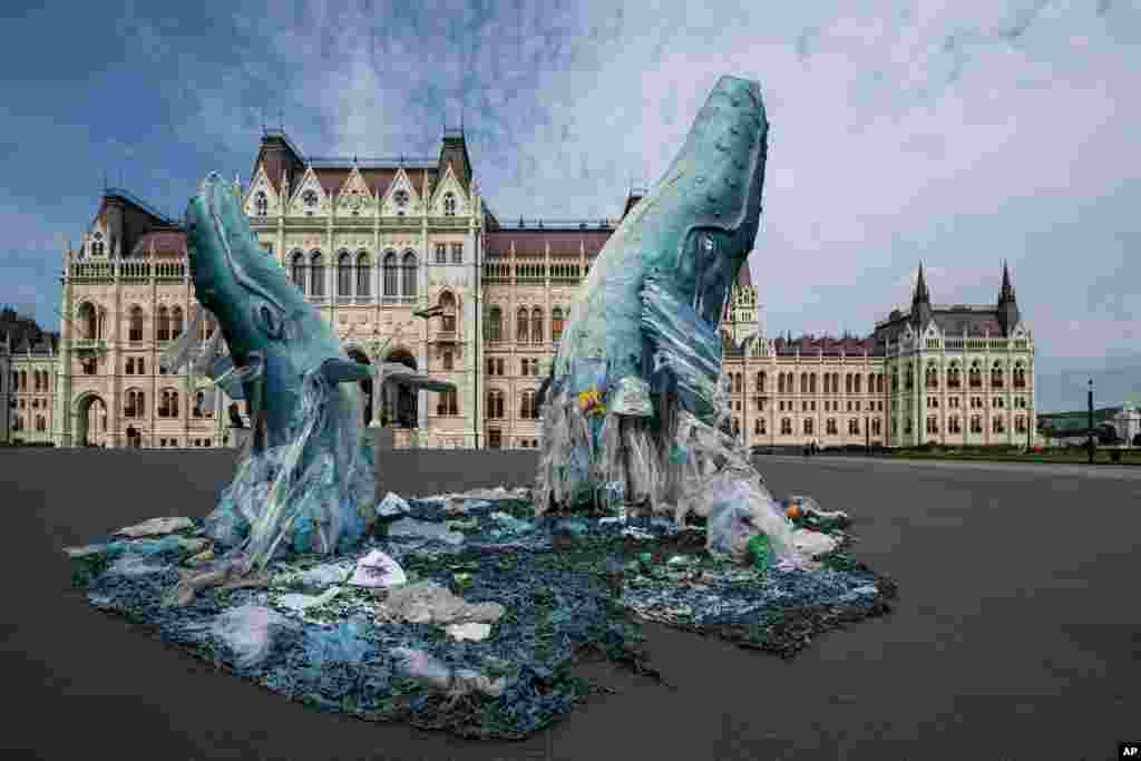 Whale sculptures made from plastic waste that was recovered from the ocean are on display at the parliament building in Budapest, Hungary.