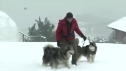 ကမ္ဘာတလွှားခရီးသွား