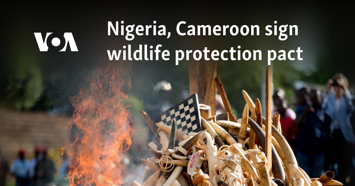 Nigeria, Cameroon sign wildlife protection pact 