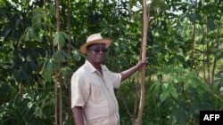 Eugene Kremien, président de l’Association des professionnels du caoutchouc naturel de Côte d’Ivoire et propriétaire de la Compagnie Ivoirienne d’Hevea qui transforme l’usine de caoutchouc naturel de Grand-Lahou, le 31 juillet 2018.