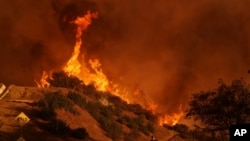 Petugas pemadam kebakaran berjuang mengatasi kebakaran Palisades di Mandeville Canyon di Los Angeles, 11 Januari 2025. 