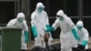 China Kukuhkan Lebih Banyak Penularan Flu Burung