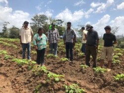 Para "doña Chica"y otros refugiados el terreno que han trabajado en el norte de Costa Rica es motivo de orgullo.