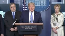 Прямая трансляция пресс-конференции рабочей группы по коронавирусу (23 марта)