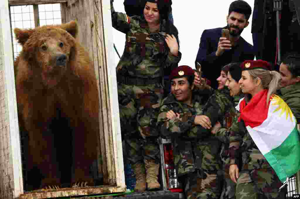 Female Iraqi Kurdish peshmerga fighters watch on as they release a bear into the wild in the Gara Mountains near the northern Iraqi city of Dohuk, March 4, 2018, after Iraqi Kurdish Animal rights activists from a local NGO rescued it from a private home.