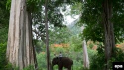 ပတ်ဝန်းကျင် ထိန်းသိမ်းရေး ဥပဒေစိုးမိုးဖို့လို