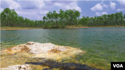 Le parc des Everglades en Floride (VOA)