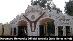 ፋይል ፎቶ - ሐረማያ ዩኒቨርሲቲ (Haramaya University)