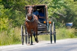 FILE In this photo made on Wednesday, June 23, 2021, a horse drawn buggy is driven down the road near Amish farms in Pulaski, Pa. (AP Photo/Keith Srakocic)