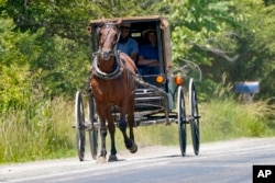 FILE In this photo made on Wednesday, June 23, 2021, a horse drawn buggy is driven down the road near Amish farms in Pulaski, Pa. (AP Photo/Keith Srakocic)