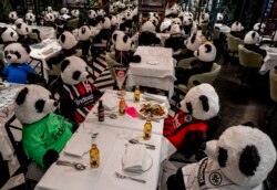 Boneka Panda dan botol bir Corona menghiasi meja sebuah restoran yang ditutup di tengah pandemi Covid-19 di Frankfurt, Jerman, Selasa, 24 November 2020.
