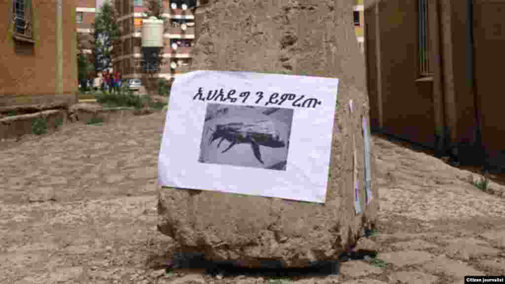 በየቦታው የምናየው የኢህአዴግ አርማና የምርጫ ዘመቻ ብቻ ነው። አረ ለመሆኑ እንዴት ብለን ነው የምንመርጠው? (ተስፋ)