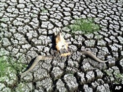 Parched land in Texas