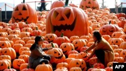 Visitors pose for photos in an installation consists of 500 pumpkin lights to mark the Halloween in Shenyang, northeast China's Liaoning province on October 29, 2014. This year's Halloween will fall on Friday, October 31, 2014. CHINA OUT AFP PHOTO