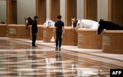 FILE - Visitors walk past stables at the Horse Culture Museum, part of an equestrian-themed town in Jiangyin, Jiangsu province, some 200 kilometers northwest of Shanghai, China, Oct. 20, 2018.