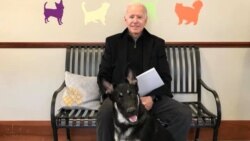 Joe Biden with Major, a German shepherd adopted from an animal shelter