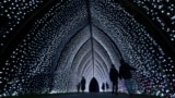 Visitors walk through the 'Cathedral' on the Christmas light trail as it returns for its 12th year, with a showcase of new installations set within the UNESCO World Heritage Site landscape of Kew Gardens in London, England, Nov. 12, 2024. 