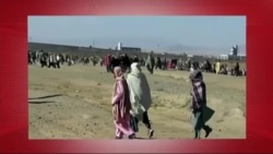 د ډیوه د روانو چارو خپرونه په ټي وي
