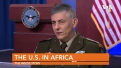 Live Talk Special Coverage: Zimbabwe 2022 By-elections 