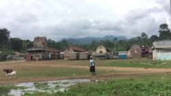 O Declínio das Roças de São Tomé