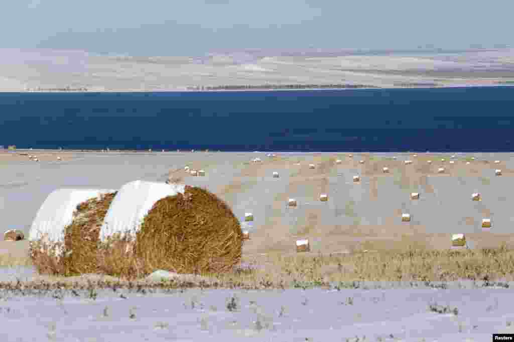 Rolls of hay covered with snow are seen on an agrarian field on the banks of Belyo Lake in Khakassia region, Siberia, Russia, Oct. 18, 2014. 