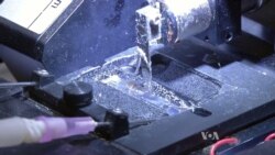 Tejido cardíaco latiente