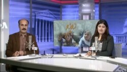 بي بي شیرینه – وي او اې ډيوه په ټیلې ویژن