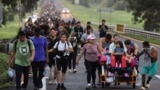 FILE - Migrants walk along the Huixtla highway in the state of Chiapas, Mexico, Oct. 22, 2024, hoping to reach the country's northern border and ultimately the United States.