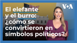 El elefante y el burro: ¿Cómo se convirtieron en símbolos del Partido Republicano y Demócrata?