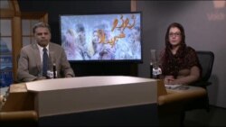 ډیوه ریډیو په ټې وي