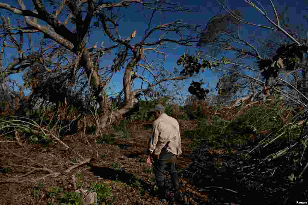 Varios agricultores de la provincia de Artemisa, duramente afectada, dijeron a la agencia de noticias Reuters que era probable que el suministro de alimentos empeorara.