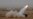Pakistan Reacts Strongly to Latest Indian Missile Tests