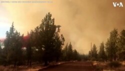 Firefighters Battle Wildfires in Oregon