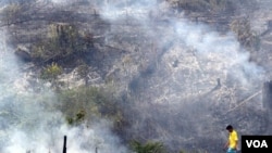 Pembukaan lahan hutan untuk perkebunan kelapa sawit di propinsi Riau. Inpres terbaru mengenai moratorium pembukaan hutan diharapkan dapat menyelamatkan kawasan hutan Indonesia.