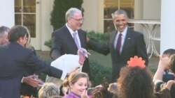 Obama Pardons his Final Thanksgiving Turkey