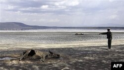 FILE - Kenya Wildlife Service warden Vincent Ongwae looks at the carcass of a buffalo that had died due to drought, on the shore of Lake Nakuru in Kenya, October 2009.