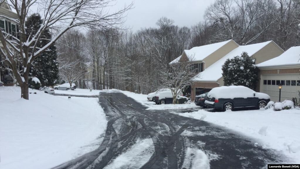 La primera tormenta invernal de 2019, ha traído de 10 a 20 centímetros de nieve en el área metropolitana de Washington, que incluye los estados de Virginia y Maryland.