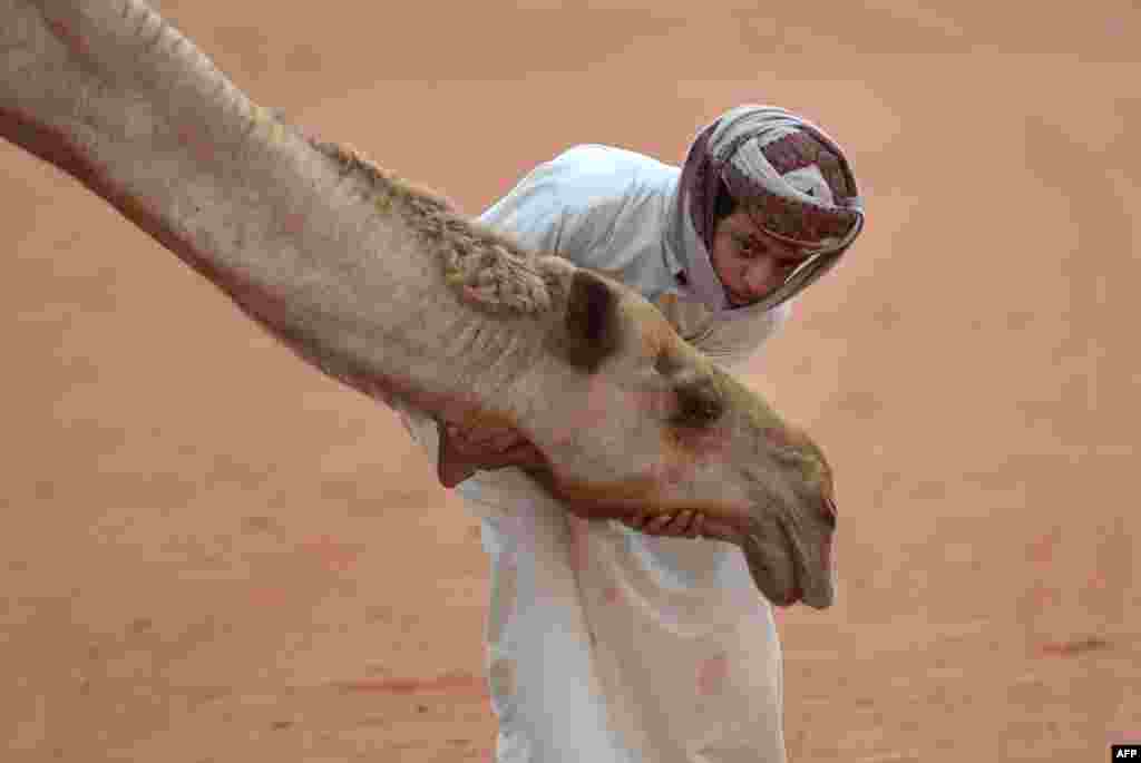 A Saudi boy poses for a photo with a camel at the annual King Abdulazziz Camel Festival in Rumah, some 150 kilometres east of Riyadh.